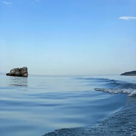 Sea La Vie Κεραμίδι